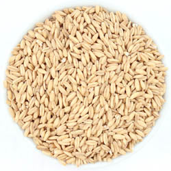 OAT GROATS, WHOLE 50 LB