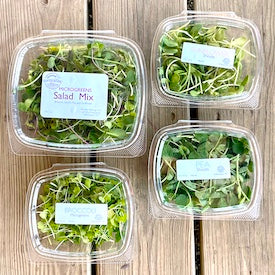 BOUNTIFUL BLESSINGS FRESH MICRO GREEN MIX BAG, ORGANICALLY GROWN