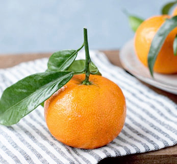 FRESH CALIFORNIA SATSUMA MANDARINS, IPM, 22-25 LBS